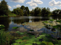 Волжанам рекомендуют защитить себя и своих близких от заболевания туляремией