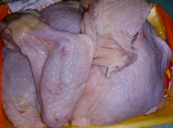 Крылышко в бедрышках: как обманывают волжан при покупке курицы в лотках 