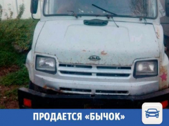 «Бычок» ищет нового хозяина в Волжском