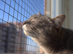 Вся неделя в Волжском будет солнечной и теплой