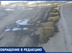 В Волжском жители жалуются на неприятный запах, который оставляет после себя мусоровоз