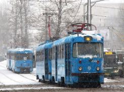 Волжане упустили шанс обновить трампарк за счет столичных властей