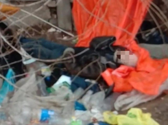 Труп лежал в мусоре: подробности смерти мужчины в Волжском