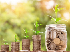 Кем быть, чтобы карман рвался под весом денег: самые высокооплачиваемые вакансии февраля для волжан в Москве и регионах