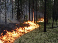 На территории Волгоградской области объявили экстренное предупреждение 