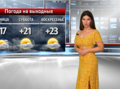 Солнышко порадует волжан: прогноз погоды от Инны Майер