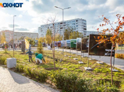 Солнце порадует волжан с утра: прогноз погоды на воскресенье