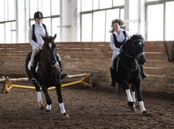 В Волжском прошли соревнования по конкуру