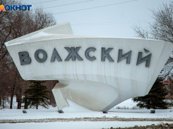 Поддельные квитанции, школьные скандалы и убийство собак: о главном за неделю в Волжском