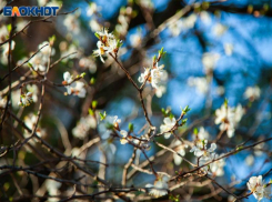 Льва порадуют любимые, а Дева получит новые знания