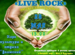 Волжан пригласили потусить на рок-концерте в Волжском