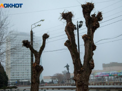 В четверг в Волжском будет хмуро: прогноз погоды