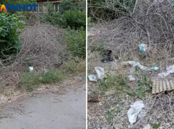 «Мы загоримся вместе с этой кучей»: волжанка о свалке во дворе Волжского