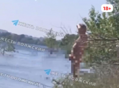 Голопопый онанист стал звездой Волжского. Почему полиция мужчиной не интересуется