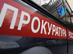 Волжский активист пожаловался в облпрокуратуру на семейственность в институте педагогики и права 