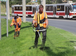 Волжские бизнесмены нарушили правила благоустройства у себя под носом