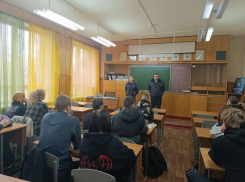 «Цена беспечности – жизнь»: волжских студентов предупредили о смертельной опасности на дорогах