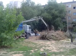 В Волжском начали убирать сухостой и косить траву