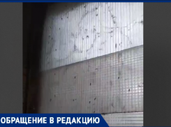 Комары в октябре? Из-за сырого подвала волжан атаковали насекомые