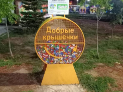 Сделай Волжский чище. Экоактивисты приглашают на разбор «Добрых крышечек»