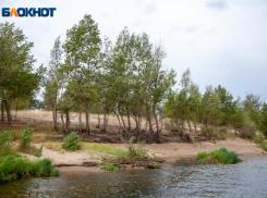 Россельхознадзор упразднил под Волжским карантинную зону и отменил особый режим