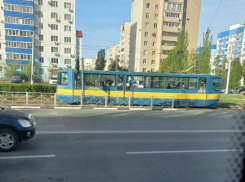 Волжане предложили запретить сочетание желтого и голубого цветов в РФ