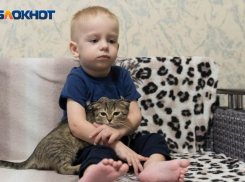 В Волжском в помощь ребенку со страшным диагнозом проведут благотворительную тренировку по ММА