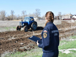 Волгоградская область начала весенние проверки нашествия саранчи