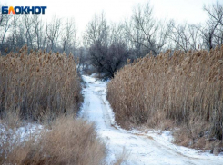 Сильный ветер ожидается в субботу в Волжском: прогноз погоды