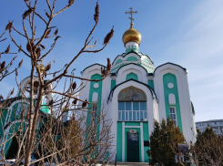 Наслаждаемся солнцем из окна