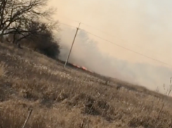 Экстренные службы выжигают Волго-Ахтубинскую пойму, - горожанин