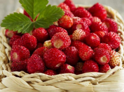 В День Давида Земляничника погода будет непредсказуемой 