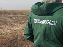 Штрафы на 1,2 миллиона: в Волгоградской области массово выявляют незаконный сброс отходов