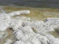 «Баскунчак местами высох, а услуги подорожали»: волжанка побывала на знаменитом соленом озере и рассказала о его плачевном состоянии