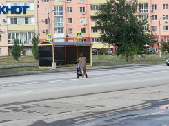 Женщина с коляской перебегала дорогу в Волжском: видео