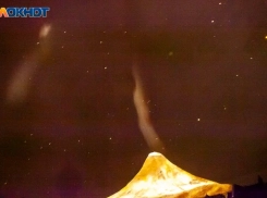 Время действовать, но без спешки: гороскоп на 10 апреля