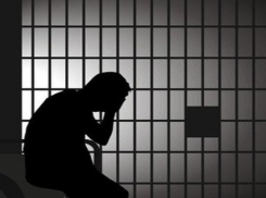 Волжанин проведет 10 лет в колонии строгого режима за убийство жены