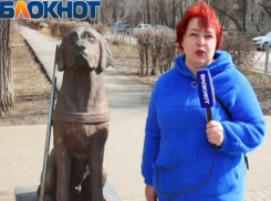 Потри нос - будет удача: что волжане знают о памятнике собаке-поводырю