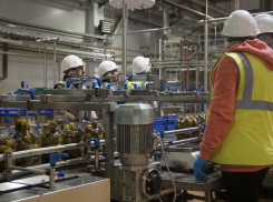 «Завод будет крупнейшим в России»- в Волжском откроется новый консервный комбинат