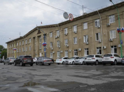 «Политскандал»: волжане подписывают петицию за отставку Елены Славиной