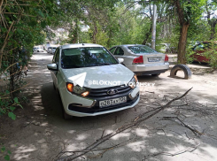 Сухая ветка рухнула на машину в Волжском