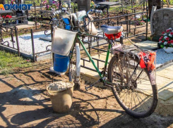 Зачем наши предки подбрасывали тараканов в гробы и могилы