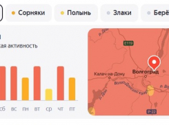 Красный код опасности по аллергии в Волжском продлится до воскресенья 