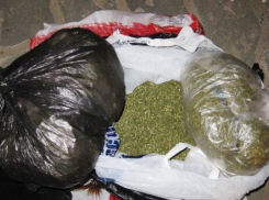 Полиция Волжского на острове Зеленом выловила трех любителей марихуаны