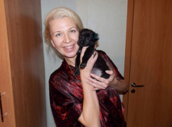 Щенок, которому отрезали уши и хвост под Волгоградом, обрел любящих хозяев