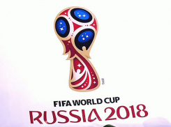 В Волгограде разработали «дорожные карты» к ЧМ-2018