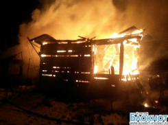 В Волжском сгорела дача на острове Зеленый