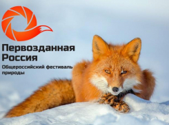 Работы фотохудожника представят Волжский на всероссийском фестивале