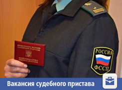 В Волжском появилась вакансия судебного пристава