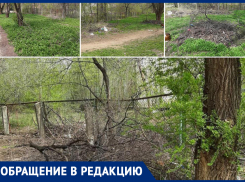 Устроили свалку рядом со школой: волжане жалуются на мусор после субботника